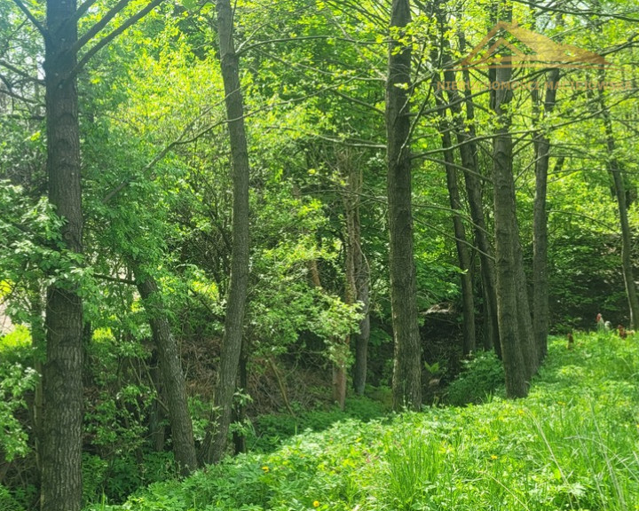 Działka Sprzedaż Miękinia